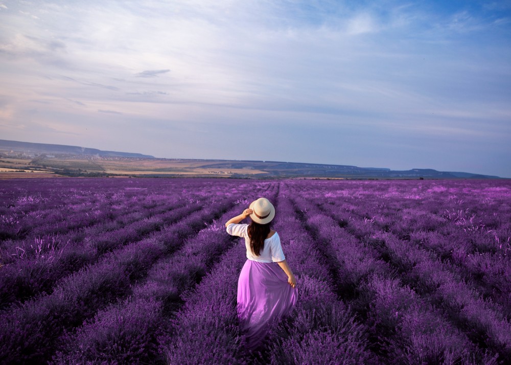 girl-in-white-t-shirt-lavender-skirt-white-hat-stands-back-in-lavender-field_t20_KvnWK1