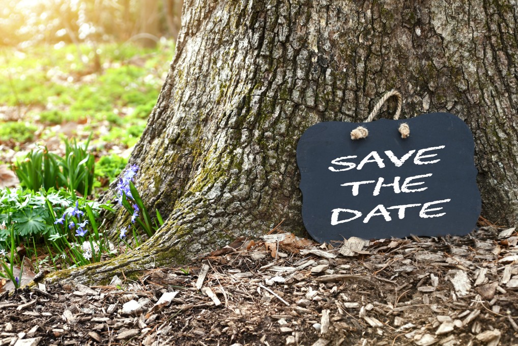 The words "Save the Date" written on a chalkboard in a natural setting of a tree with flowers and sunlight