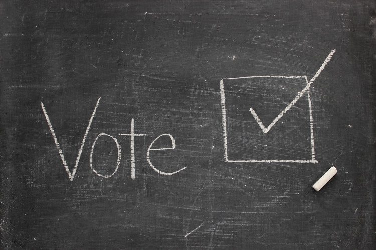 The word vote written on a chalk board next to a box with a check inside