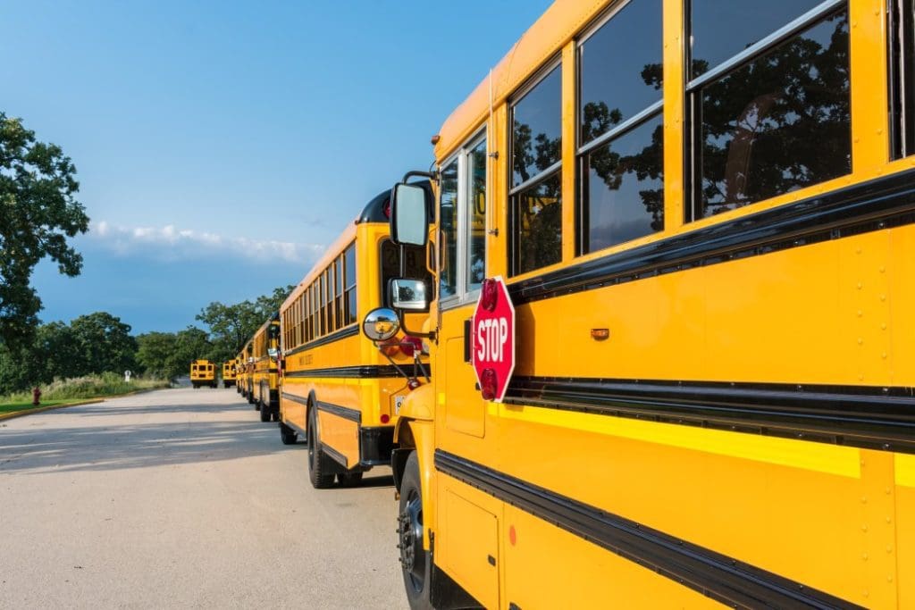 School buses parked in a straight line.